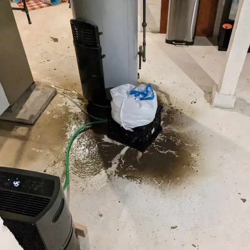 Sewage Backup Cleanup Service in San Juan, TX